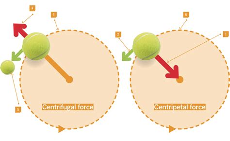 zentripetal und zentrifugalkraft.